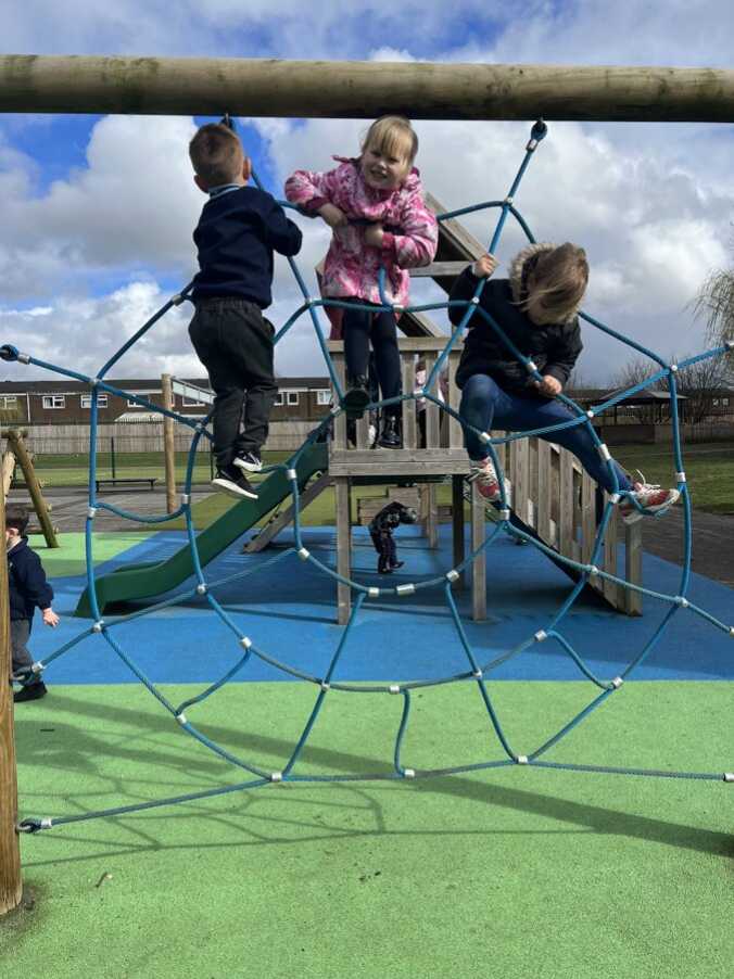 Spider Web - Trim Trail